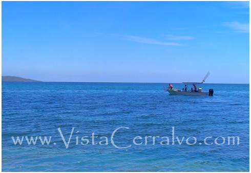 Las Arenas Fish Report, Panga making bait south of La Paz in Baja Mexico